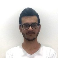 Luiz Felipe Grossi Milhin