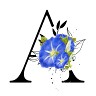 Angela C GMail