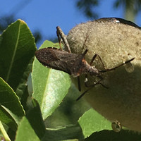 Jorge García Huidobro