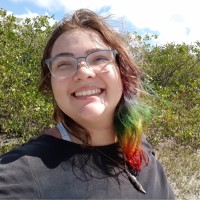 Marilia Fernandes Erickson