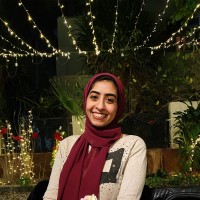 Alaa Fahmii