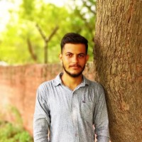 vikash bhadu
