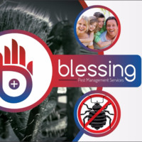 Blessing Pest management service