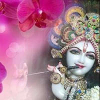 Divya Rathour