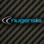 Nugensis IT Business