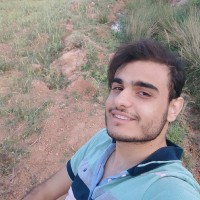 Mohammadreza Ansari