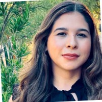 Ariana Castaneda, MSP I/O