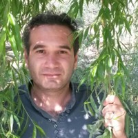 M.REZA Najafi