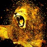 Fx Trading King