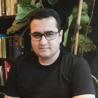 Mohammad Amin Hamzeh