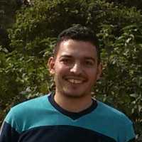Mostafa Abdelfatah Mohamed