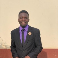 Denzel Panashe Karimatsenga