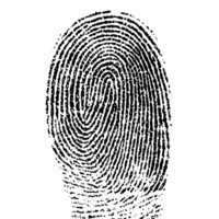 PRIVATE INVESTIGATOR