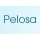 Pelosa Network Engineering