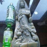 杨俊龙