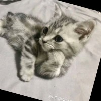 王基光
