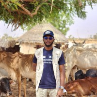 Muhammad Shettima Ibn Suleiman