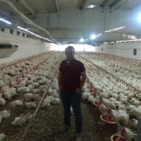 Akif Biyik