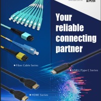 David Electronics Company Ltd. (DACE)