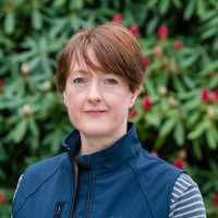 Julie Taylor