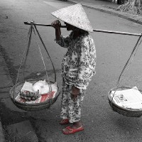 Hui Hui Vogel