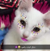 Amjad Alfyad