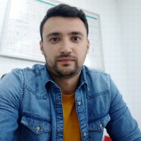 Ionut Braescu