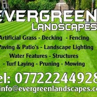 Evergreen Landscapes