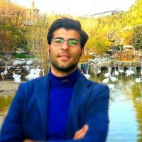 mostafa lari lavasani