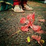 arathi gopal