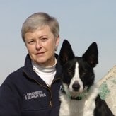 Lynne Engelbert