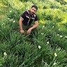 Babak Pirooz