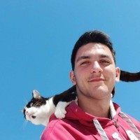 Chris Triantafyllou