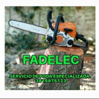 Dardo Figueroa