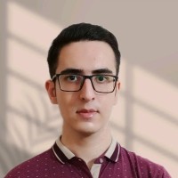Amir Naghib