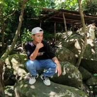 D Sesem HK