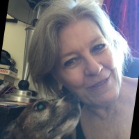 Debra Vanderlinde
