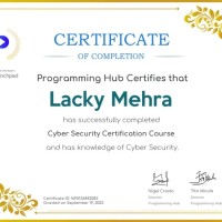 Lucky Mehra