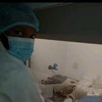 Kehinde Olayemi