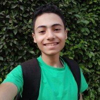 Hesham Abdo
