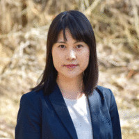 Ding Chen