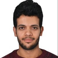 Mostafa Abdel Mottaleb