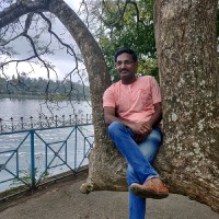 Siva lingam