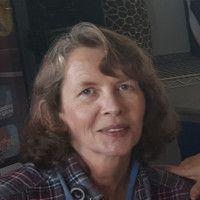 Debbie Hardesty