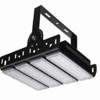 Rayborn Led Mr