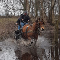 Andreas Nie