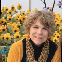 Kathy Gronau
