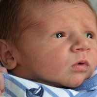 Harley Tate Marcus Ranjan-Gillespie
