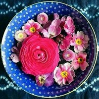 محمدرضا عباس زاده