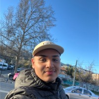 Vinicius Santos Alves